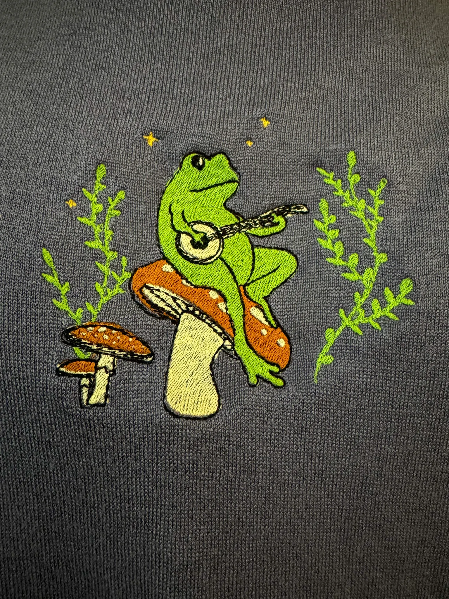 Banjo Frog Turtleneck Cropped Long Sleeve 2XL