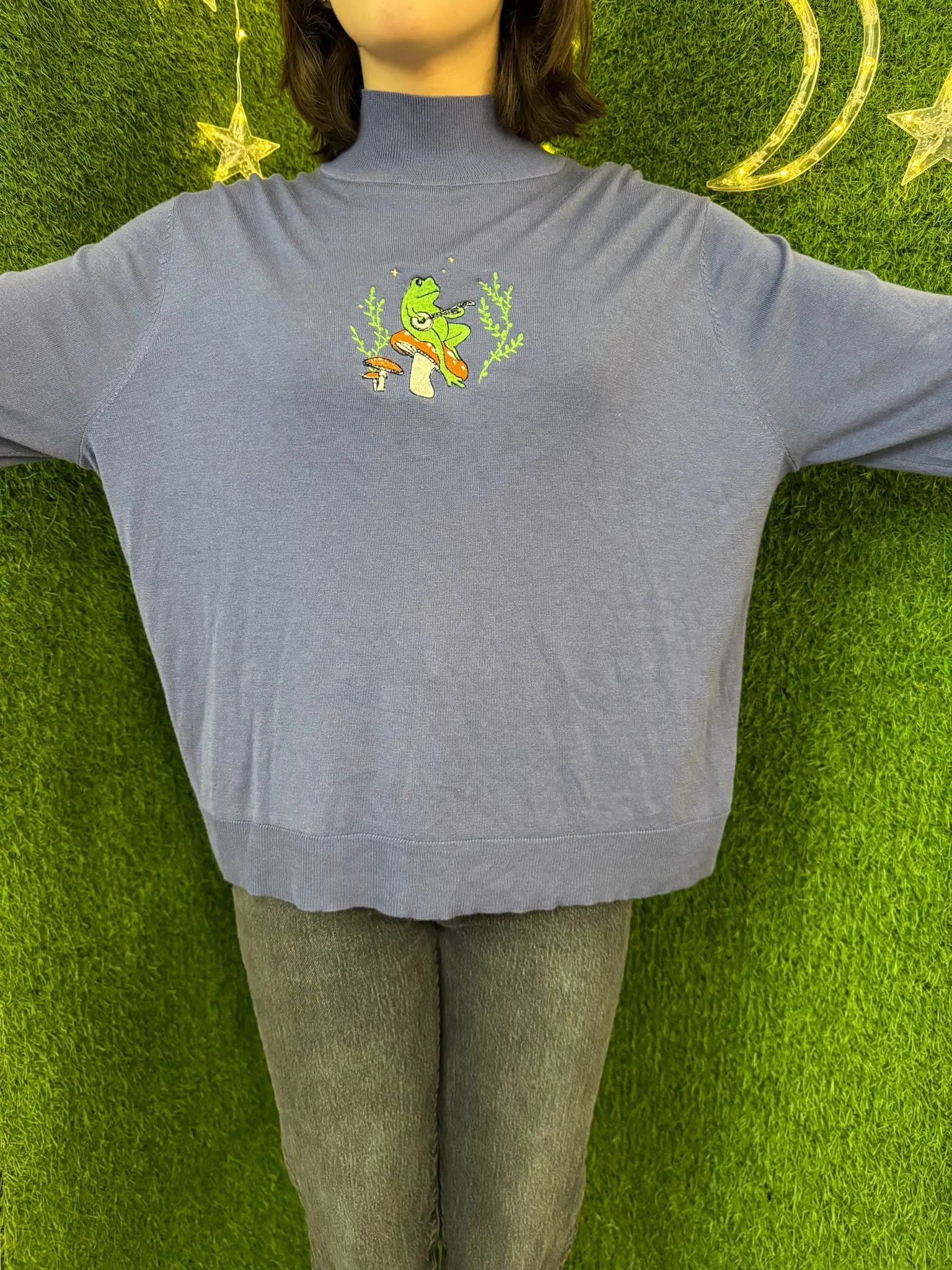 Banjo Frog Turtleneck Cropped Long Sleeve 2XL