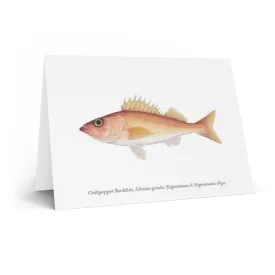 Chilipepper Rockfish Greeting Card