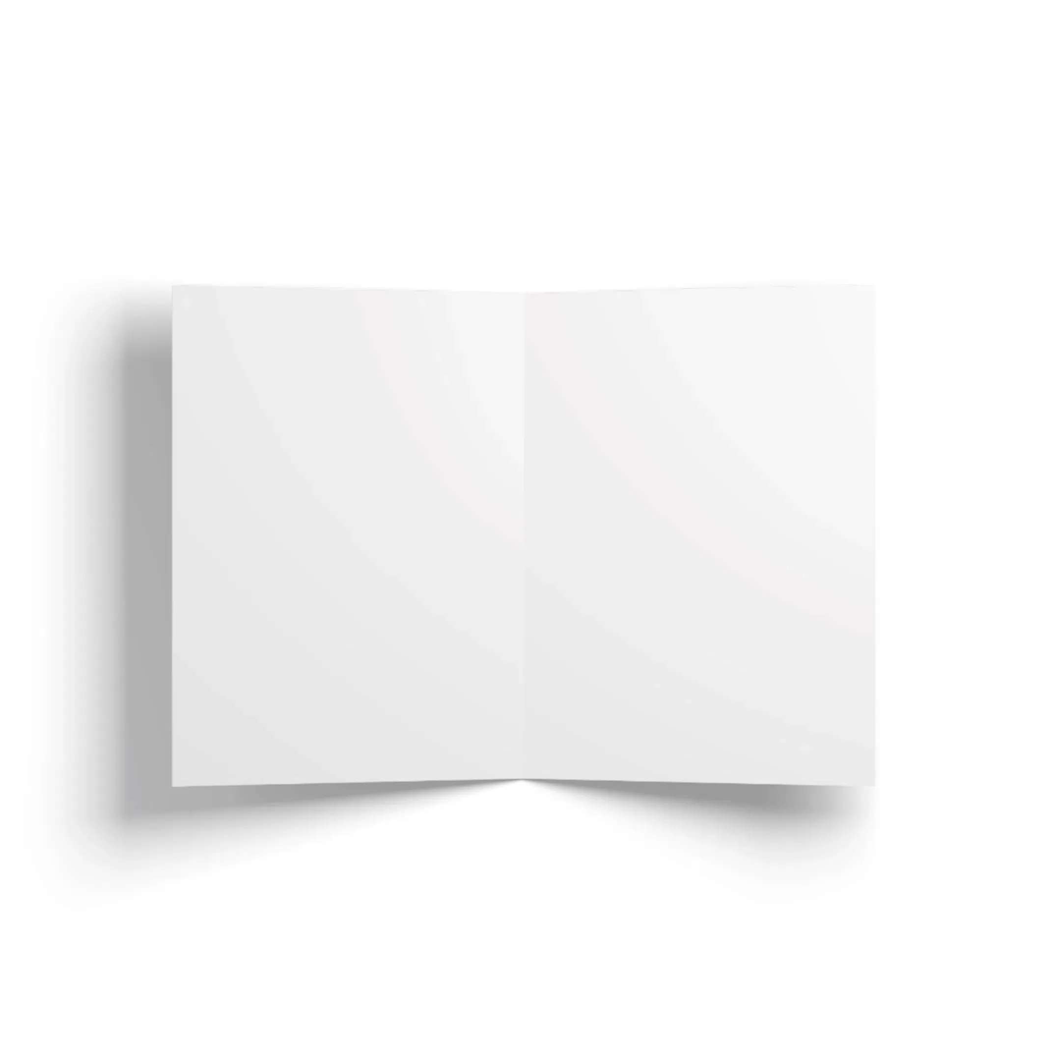 Giant Manta Ray Greeting Card