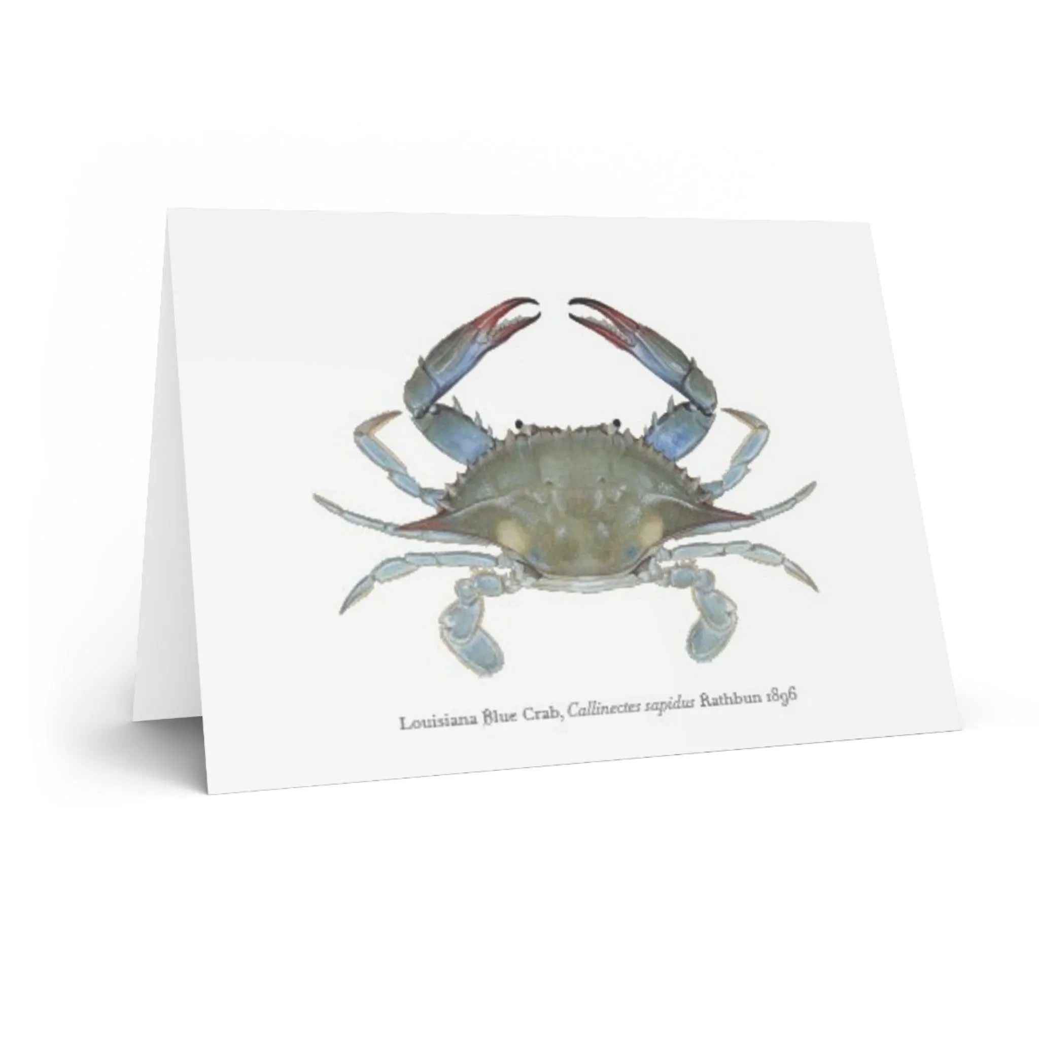 Louisiana Blue Crab Greeting Card